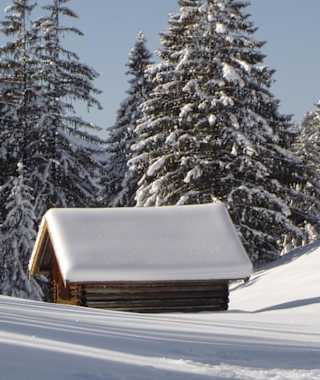 Verschneite Winterlandschaft