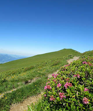 Das Bild täuscht - auf der anderen Seite des Hohen Freschen geht es steil bergab