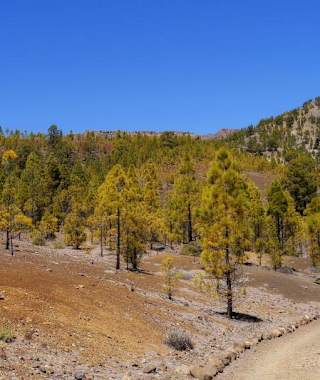 Wanderweg am Paisaje Lunar