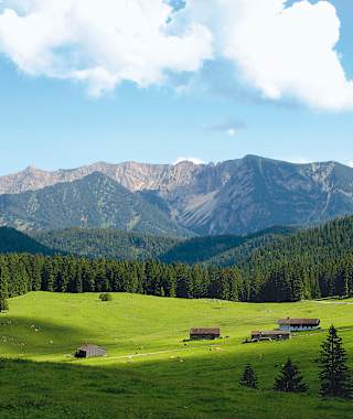 Blick auf das Sonnwendjoch und die Almwiesen der Valepp