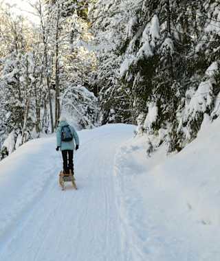 Aufstieg auf der Naturrodelbahn Faulbaumgartenalm 