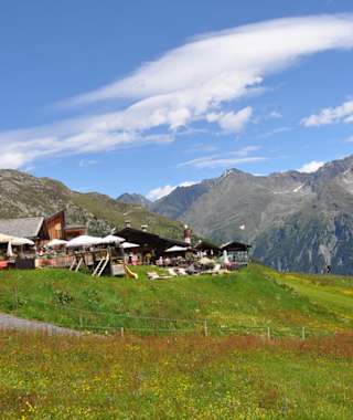 Almwiesen um die Gampe Thaya Hütte
