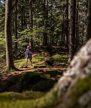 Zweitälersteig Etappe 3