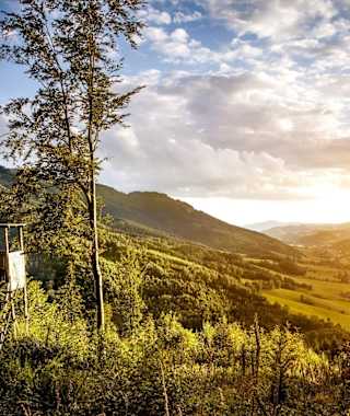 Zweitälersteig Etappe 4