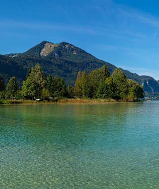 Blick auf das Zwölferhorn am Wolfgangsee