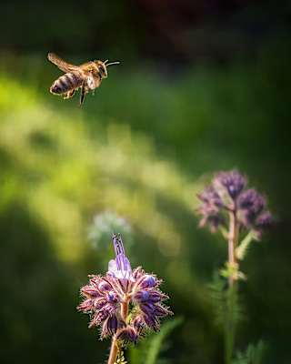 Einstellungen: Blende f/2.7 und 1/2000, vivo X200 Pro, Bergwelten, Fotografie, vivo