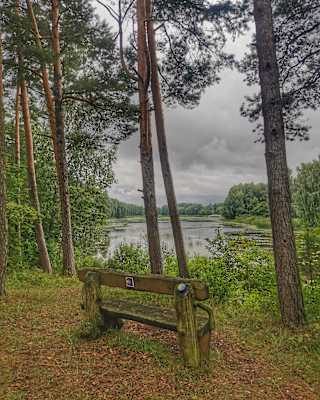 Pilgerweg Camino Lituano Rastplatz Christine Thürmer