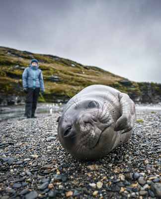 Polarmeer Fotostrecke