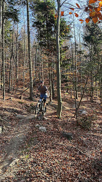 Auf dem Esterházy Single-Trail geht's manchmal auch über Steinbrocken