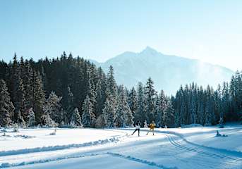 Nordic Experience 2026