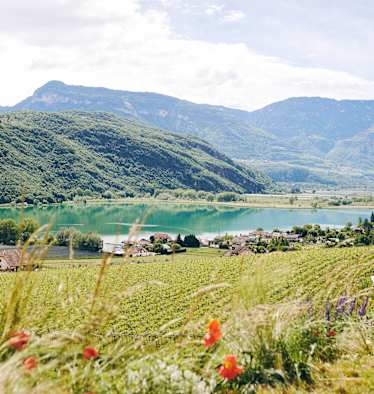 Panorama Kalterer See in Süditrol