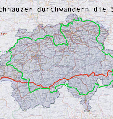 Zwei Schnauzer durchwandern die Schweiz