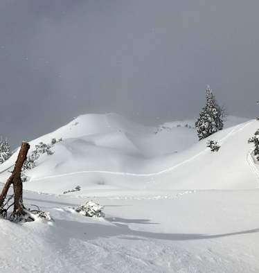 Winterlandschaft in Tirol: Tierspuren im Schnee