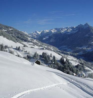 Großes Walsertal Bergsteigerdorf