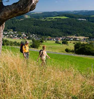 Unterwegs am WesterwaldSteig