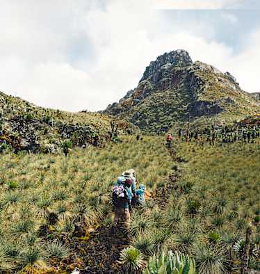 Auf dem Weg zum Gipfel des Regenmachers, dem Ruwenzori.