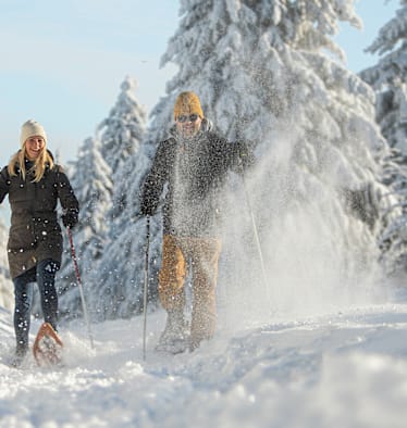 Zwei Personen langlaufen im Wald in Sachsen.
