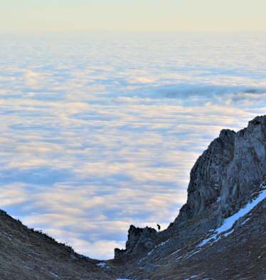 Auf dem Schneeberg: Eine Gams in der Scharte blickt auf ein gigantisches Nebelmeer