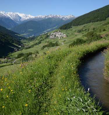 Matsch mit dem Ortler und Ackerwaal