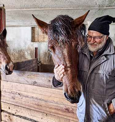 In den Wintermonaten genießen die Pferde im Stall die Zuwendung der Bergbauern.