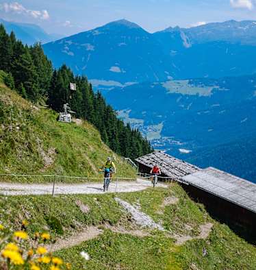 Mountainbiken MTB Forststraße