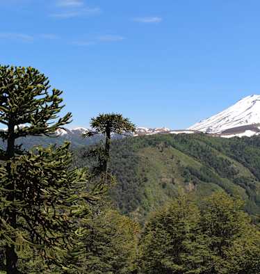 Reise Chile Skitouren