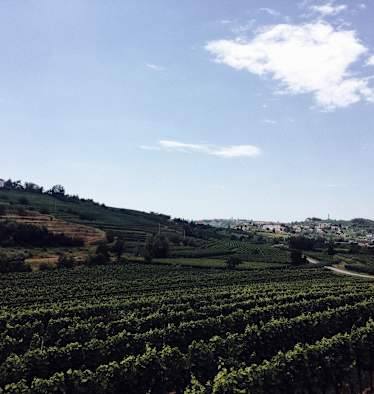 Ernst Merkinger Alpe Adria Trail