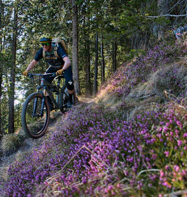 Mountainbiker im Wald