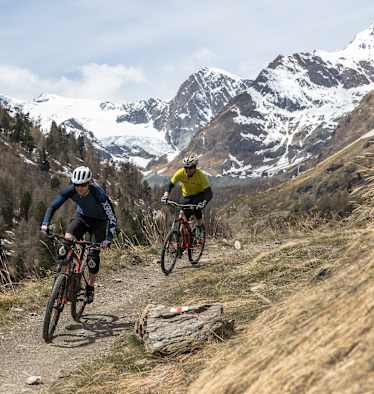Terrex Zermatt Experience Matterhorn