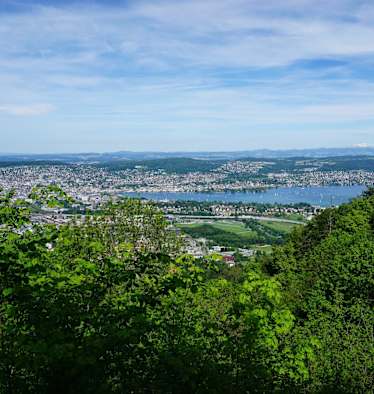 Blick vom Uetliberg auf Zürich und den Zürichsee