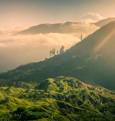Jamaika Blue Mountains Wandern