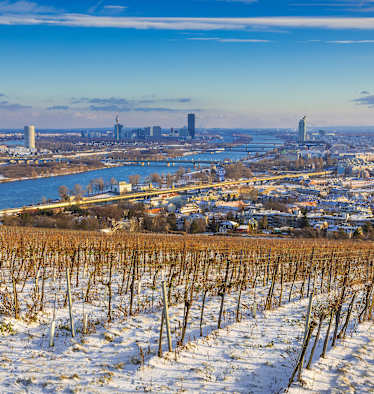 Blick über Wien