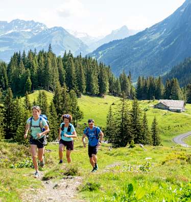 Trailrunner am Weg zum Gipfel.
