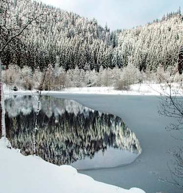 Sankenbachsee in Baiersbronn