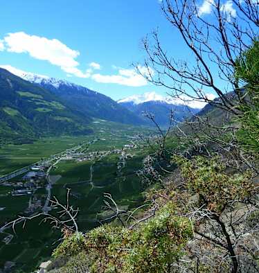 Blick in den Vinschgau