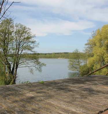 Blick von der Draisinestrecke auf den Großen Lychensee
