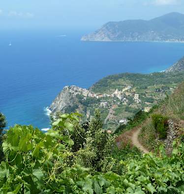 Cinque Terre - Blick aufs Meer
