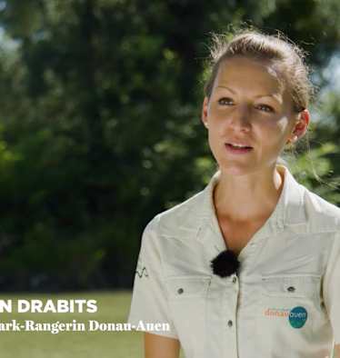 Nationalpark Donau-Auen Video