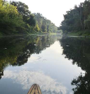 Nationalpark Donau-Auen östlich von Wien