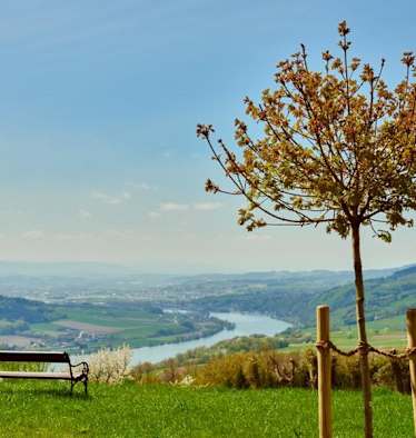 Ausblick von Klostergarten in Maria Taferl auf Donau und Nibelungengau