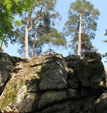 Die Natur am Kühstein im Böhmerwald erleben.