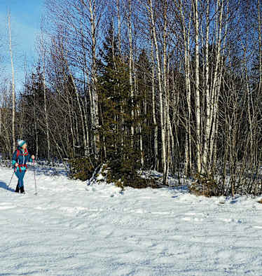 Winterwandern in der schneebedeckten Landschaft im Salzburger Pongau