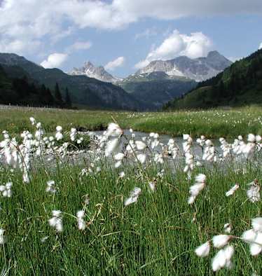 Wandern im Naturpark Riedingtal