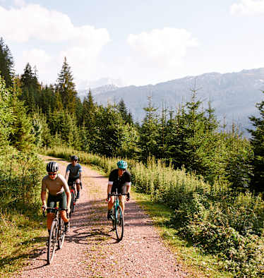 Gravelbikes Test 2019