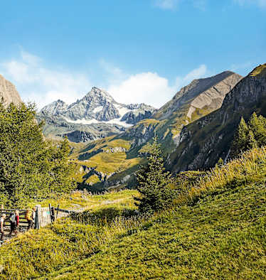 Die Großglockner Hochalpenstraße im Portrait