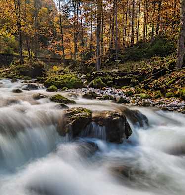 Gesäuse Hartelsgraben