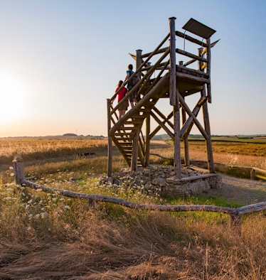 Der Aussichtsturm am Hirnberg 