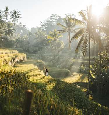 Tropen-Idylle in Indonesien