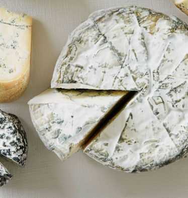 Bleu de Termignon aus Savoyen