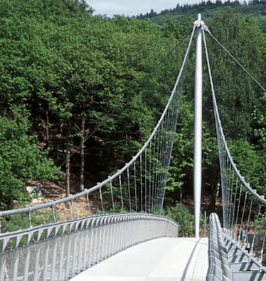 Leichte und landschaftlich wunderschöne Rundwanderung im Nationalpark Eifel in Nordrhein-Westfalen.